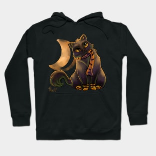 Halloween Socks Kitty Hoodie